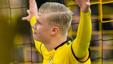 إرلينج هالاند