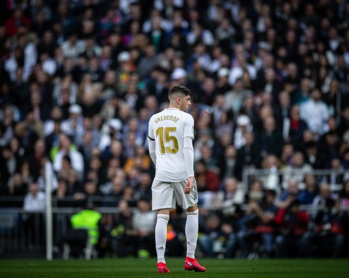 فيدي فالفيردي