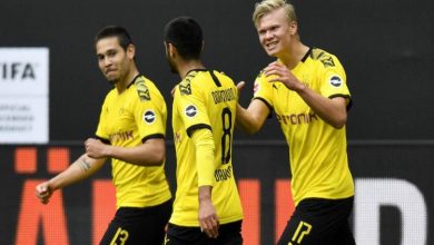 هالاند ومحمود داوود