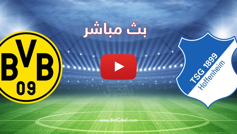 بروسيا دورتموند وهوفنهايم