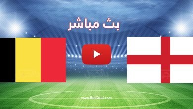 إنجلترا وبلجيكا
