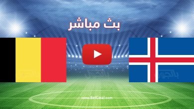 بلجيكا وأيسلندا