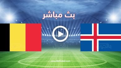 بلجيكا وأيسلندا