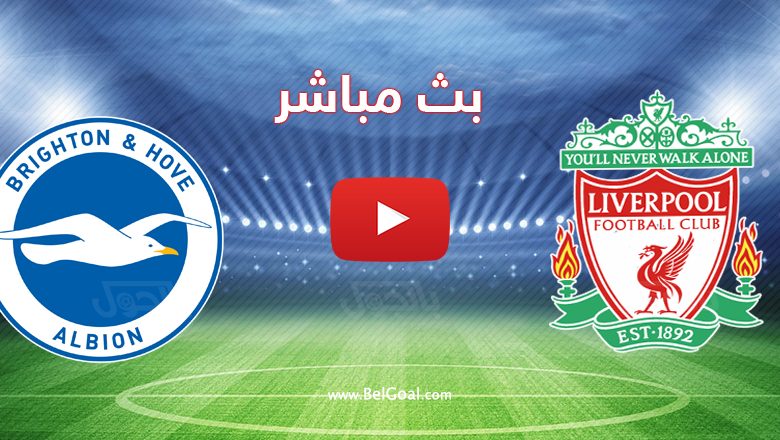 بث مباشر مباراة ليفربول وبرايتون