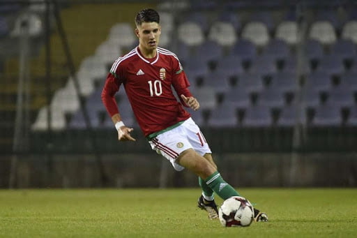 دومينيك سوبوسلاي