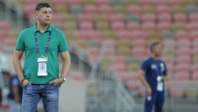 فلادان ميلويفيتش