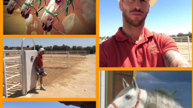 خيل راموس