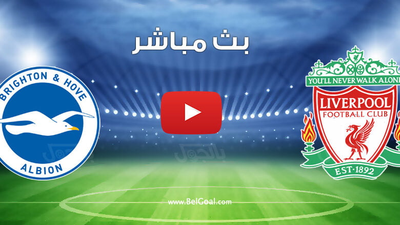 بث مباشر مباراة ليفربول وبرايتون