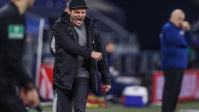 إدين تيرزيك