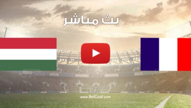 مباراة فرنسا والمجر
