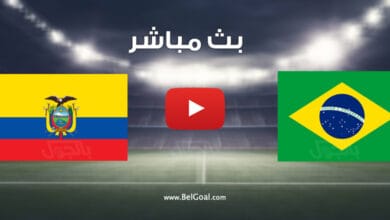 مباراة البرازيل والإكوادور