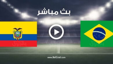 مشاهدة مباراة البرازيل والإكوادور