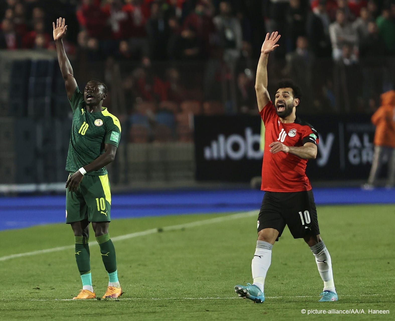 مصر - السنغال