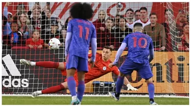 جابرييل سلونينا