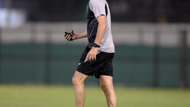 فيسينتي مورينو