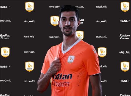 محمود حمادة
