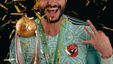 محمد الشناوي