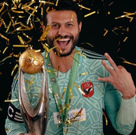 محمد الشناوي