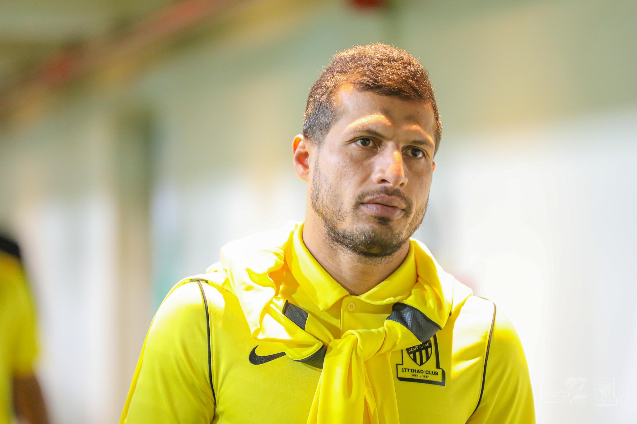 طارق حامد