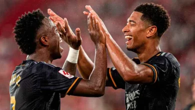 بيلينجهام وفينيسيوس