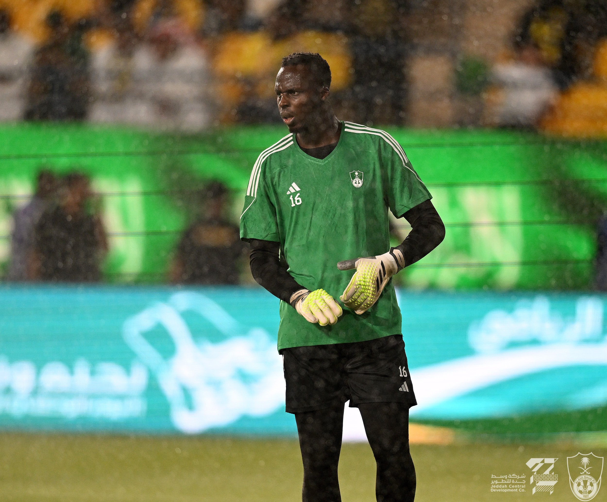 ميندي- الأهلي السعودي
