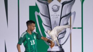 عبد الرحمن غريب