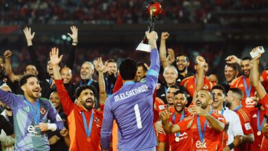 الدوري المصري