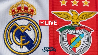 بث مباشر ريال مدريد ضد بنفيكا