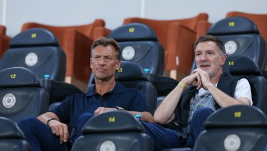 الأهلي يُفجر مفاجأة بشأن مفاوضاته مع رينارد: تفاصيل جديدة