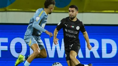 الظفرة والنصر الإماراتي
