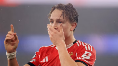 شييلدروب ريال مدريد
